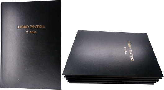 Libro Matriz de 2 Años 200 Folios