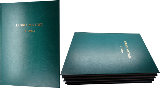 Libro Mtriz de 3 Años 200 Folios