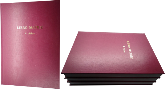 Libro Matriz de 4 Años 200 Folios