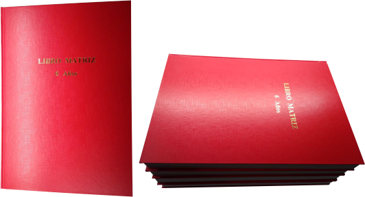 Libro Matriz de 6 Años 200 Folios