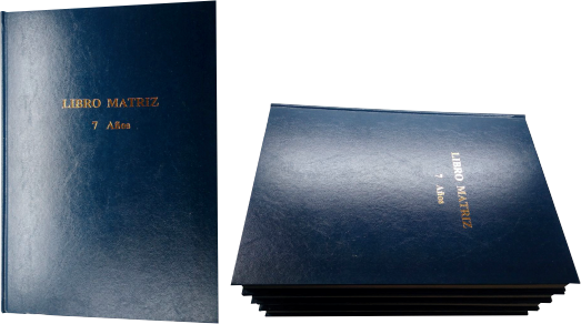 Libro Matriz de 7 Años 200 Folios